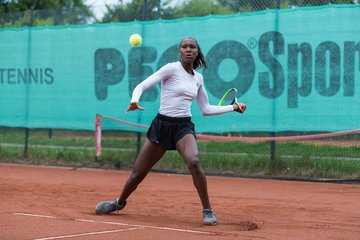 Noma Noha Akugue 247 - Klippeldon